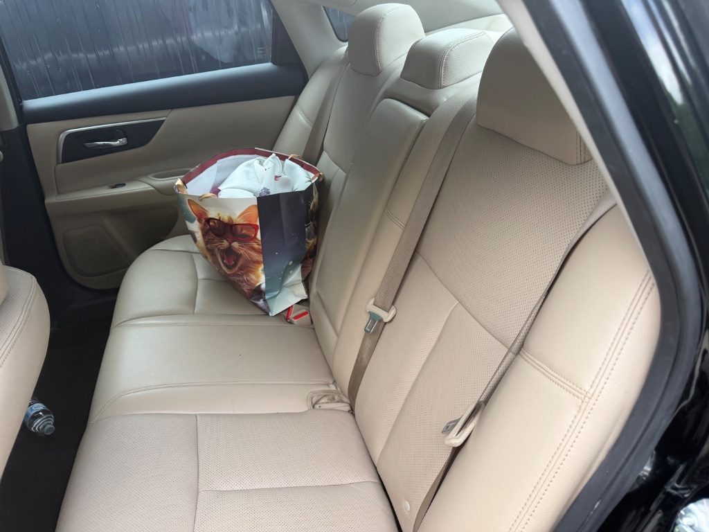 2017 Nissan Altima SL - Photo 59